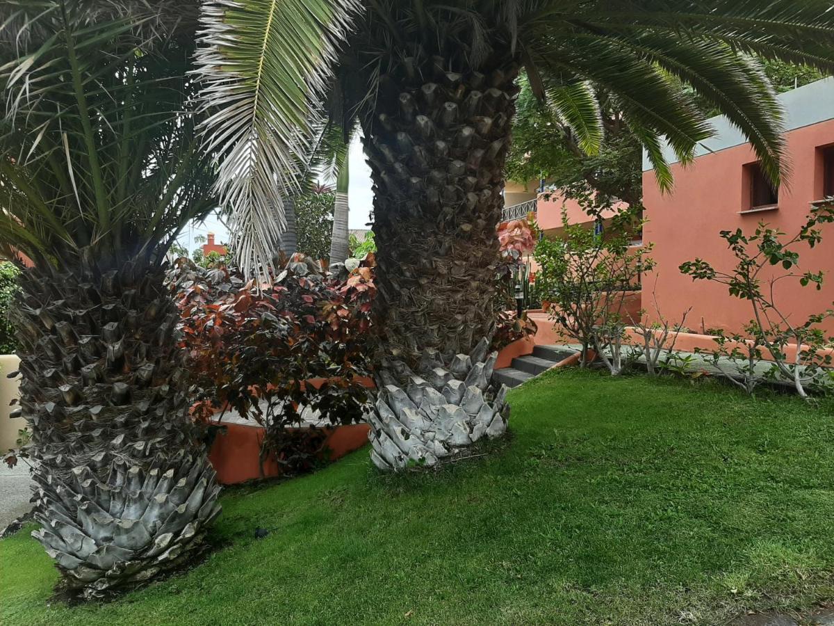Aparthotel El Cerrito Los Cancajos Luaran gambar